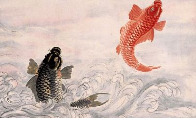 挂画风水忌讳之墙壁挂鱼图有哪些讲究