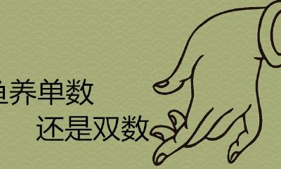 养鱼养单数或是双数