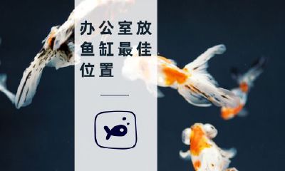办公室放鱼缸最佳位置在哪儿