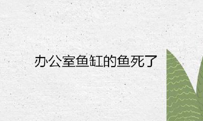 办公室鱼缸里的鱼死了是什么意思?