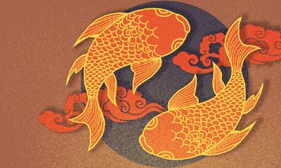 地图鱼养几个有利招财