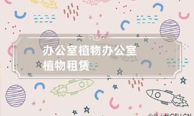 办公室植物 办公室植物租赁
