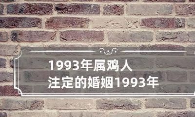 1993年属鸡人注定的婚姻 1993年属鸡人注定的婚姻状况如何