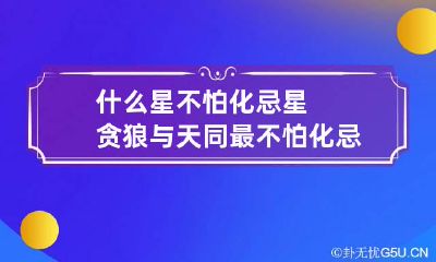 什么星不怕化忌星 贪狼与天同最不怕化忌