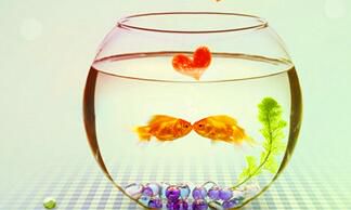 射手座应如何做能保持好心情