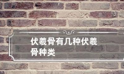 伏羲骨有几种 伏羲骨种类