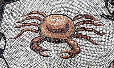 女孩们,怎么追巨蟹座的他?