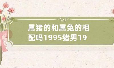 属猪的和属兔的相配吗 1995猪男1999兔女配吗