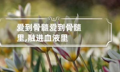 爱到骨髓 爱到骨髓里,融进血液里