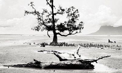 盲师神算,岁过二十果无差