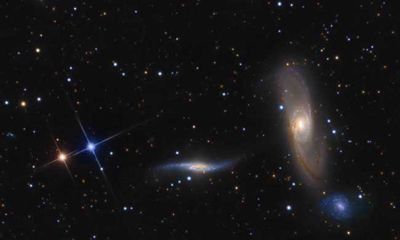 处女和狮子配对指数:70