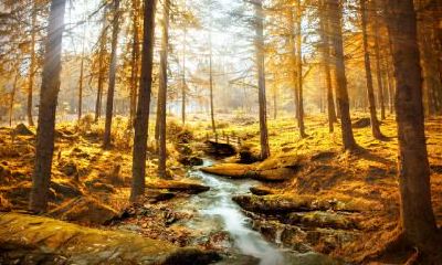 4月出生的人取名字宜用什么字?五行有什么说法?