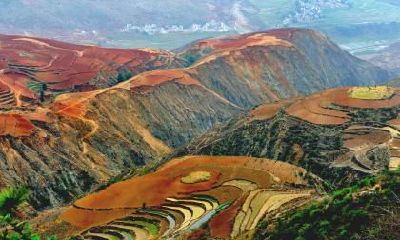 4月出生的宝宝起名忌用字有哪些?五行忌用什么字?