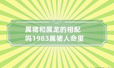 属猪和属龙的相配吗 1983属猪人命里带二婚