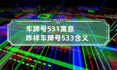 车牌号531寓意咋样 车牌号533含义好吗