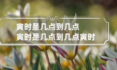 寅时是几点到几点 寅时是几点到几点 寅时出生的运势