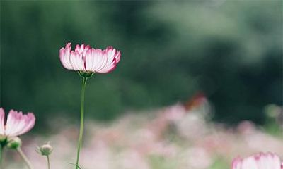 2018年农历十一月十五出生的男孩五行缺什么?怎么取名?