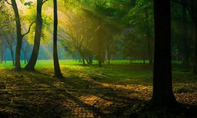 2018年12月7日出生男孩怎么起名字?宝宝的五行怎么起名?