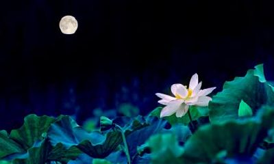 2020年2月19日雨水节气出生的鼠宝宝小名乳名大全