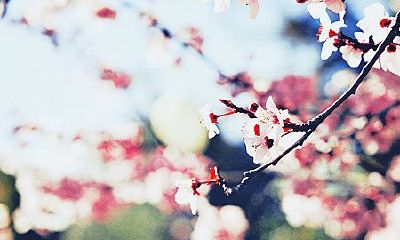 二胎宝宝起名方法推荐