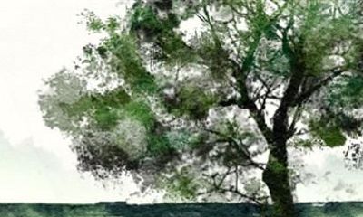 两个96属鼠的相配吗 结婚好不好