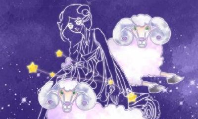 <strong>射手座和十二星座的爱情配合度</strong>