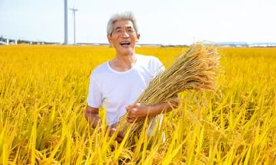 属牛五一出生的男孩好不好?2021年劳动节是星期几?