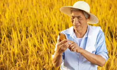 五一劳动节送礼注意事项有哪些?有什么讲究?