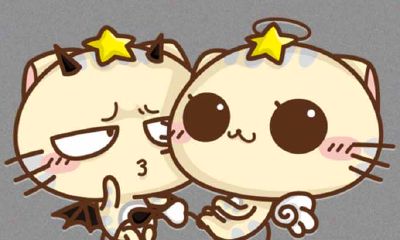 射手座和什么座最配:第4名双子座