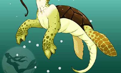 天蝎如何俘获射手的芳心