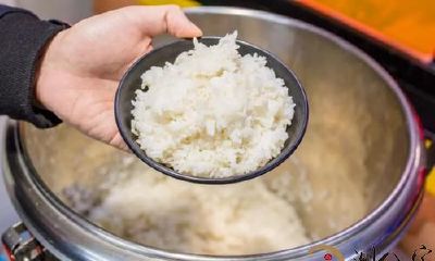 梦见帮领导乘饭