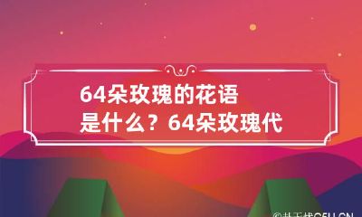 64朵玫瑰的花语是什么?64朵玫瑰代表什么意思?