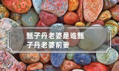 甄子丹老婆是谁 甄子丹老婆前妻