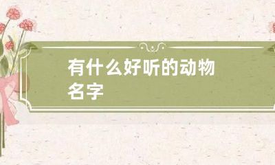 有什么好听的动物名字