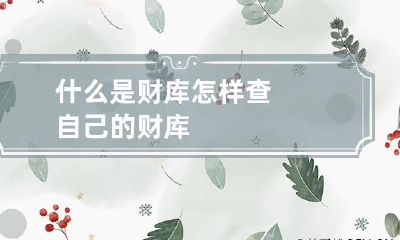 什么是财库 怎样查自己的财库