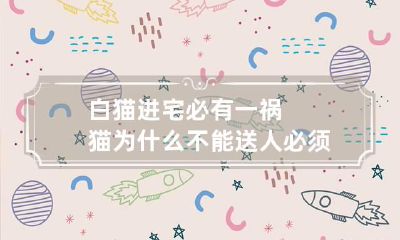 白猫进宅必有一祸 猫为什么不能送人必须给点钱
