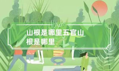 山根是哪里 五官山根是哪里