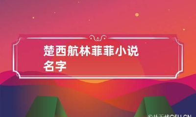 楚西航林菲菲小说名字