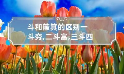 斗和簸箕的区别 一斗穷,二斗富,三斗四斗卖豆腐