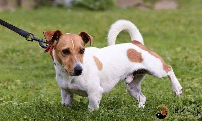 梦见撒尿在自己身上