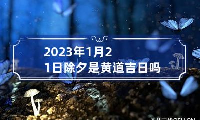 2023年1月21日除夕是黄道吉日吗,时辰宜忌怎么看