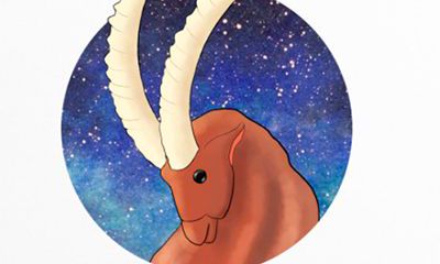 白羊男星座,白羊座男性格分析