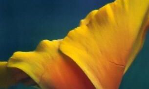 白羊座小时候糗事