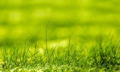 2018年10月29日出生的孩子起名汇总,宝宝五行如何?