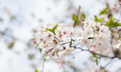 2022年立春不能出门,不宜出门远行吗?