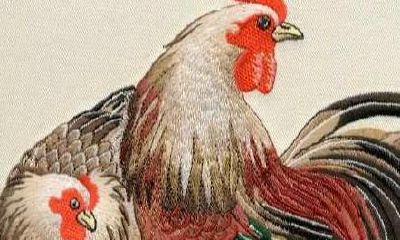 生肖起名告诉你鸡宝宝取名的不宜用字