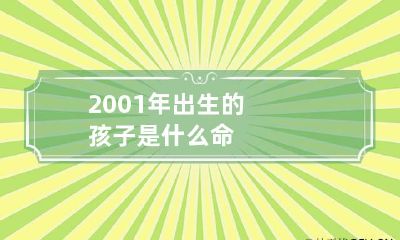 2001年出生的孩子是什么命