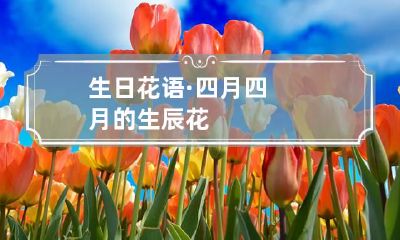 生日花语·四月 四月的生辰花
