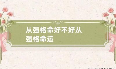 从强格命好不好 从强格命运