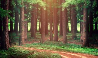 2019年农历腊月二十五出生五行缺水男宝宝如何起名?